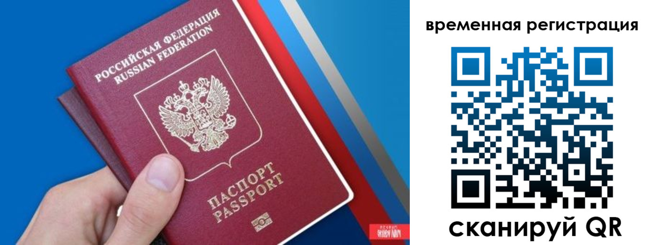 прописка для школы в Иваново